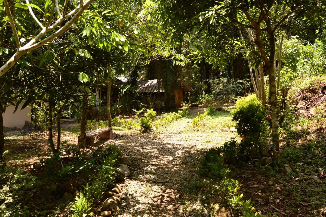 Eco-Logic, Resort For Charity Phato المظهر الخارجي الصورة