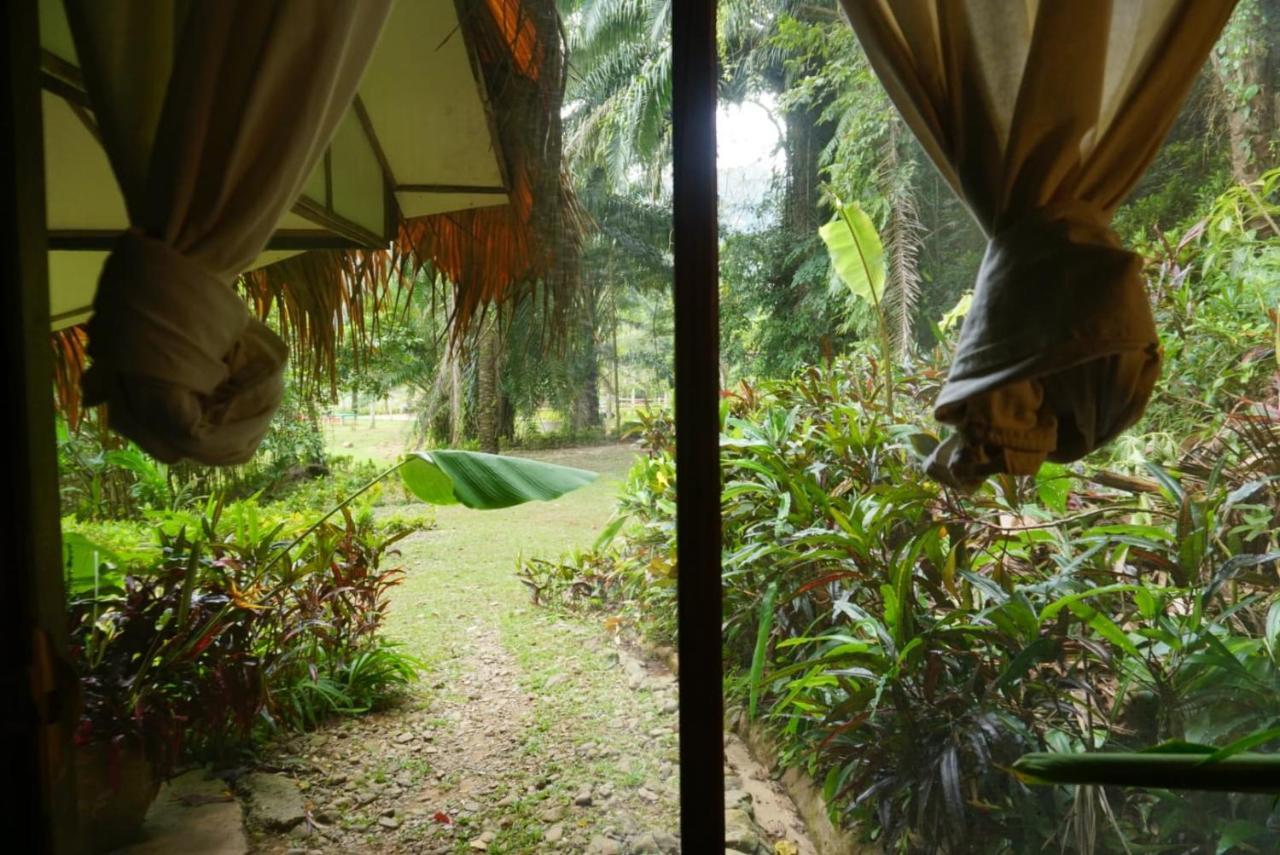 Eco-Logic, Resort For Charity Phato المظهر الخارجي الصورة